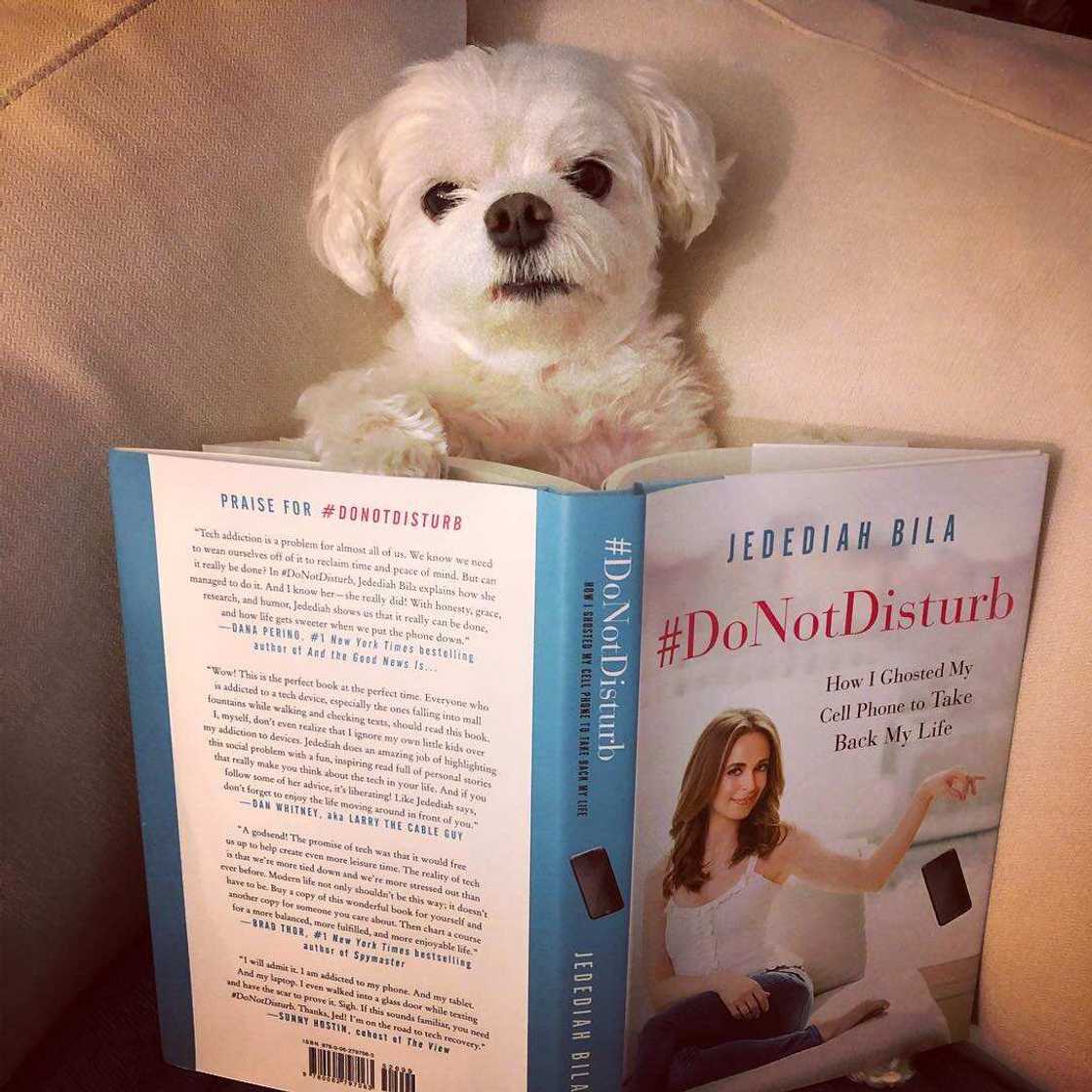 Jedediah Bila bio Jedediah Bila bio