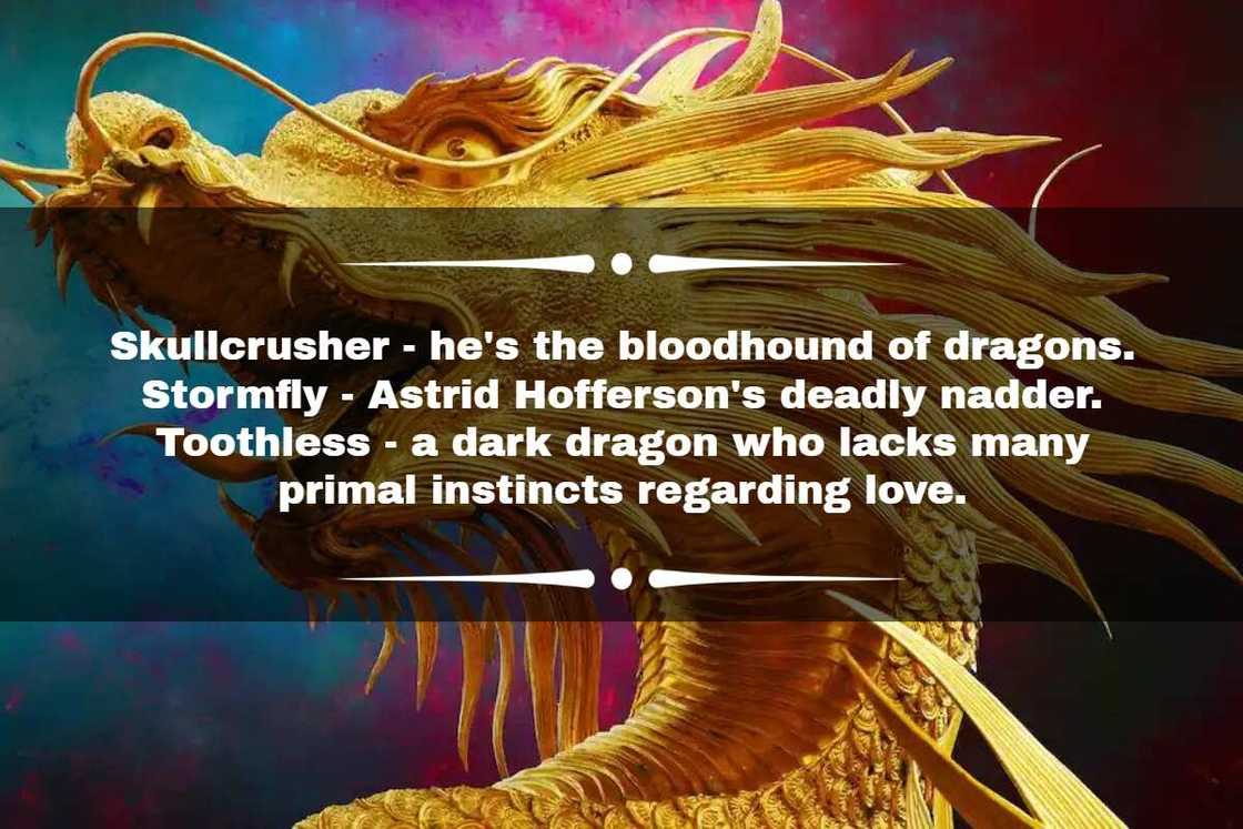 How to Train Your Dragon dragon names How to Train Your Dragon dragon names