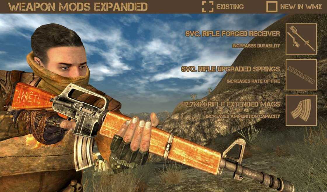 fallout new vegas essential mods