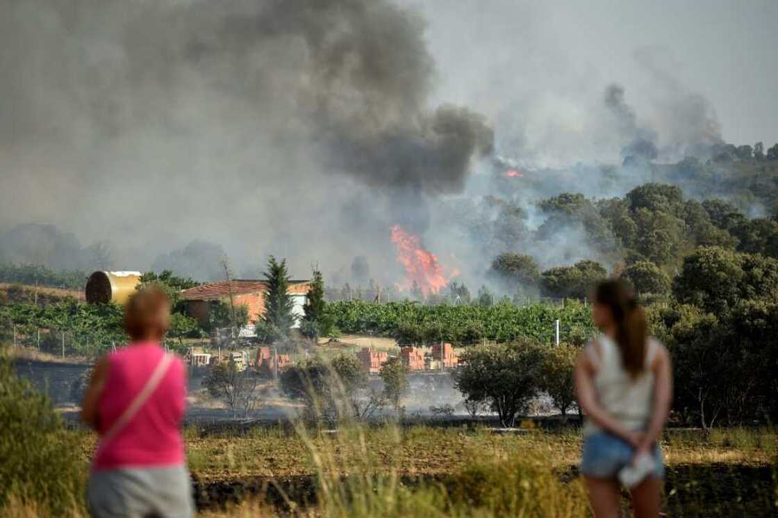Smoke rising from the vineyards in Pumarejo, northwest Spain, on July 18, 2022 Smoke rising from the vineyards in Pumarejo, northwest Spain, on July 18, 2022