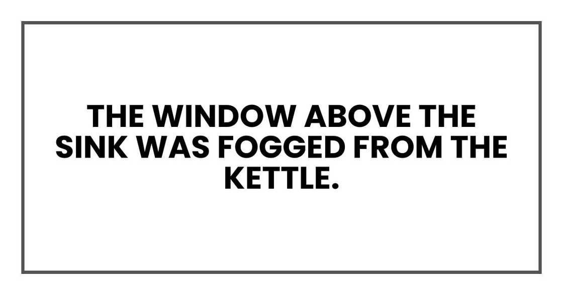 The window above the sink was fogged from the kettle. The window above the sink was fogged from the kettle.