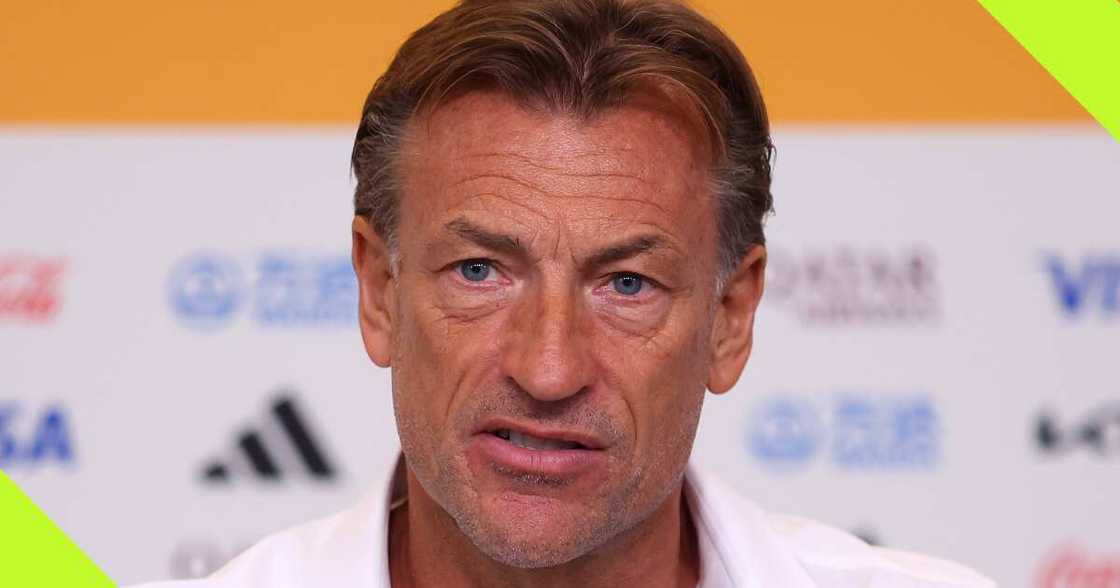 Herver Renard has been contacted by Nigeria Football Federation Herver Renard has been contacted by Nigeria Football Federation