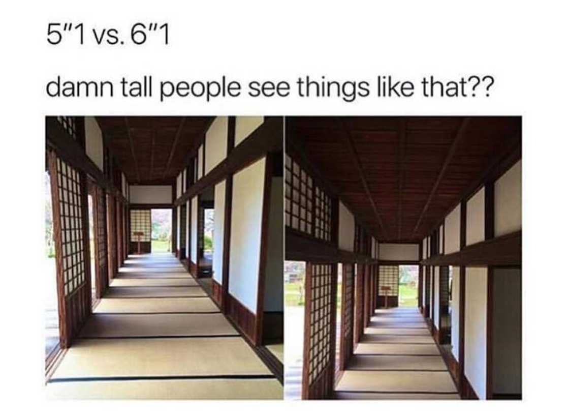 Short person jokes.