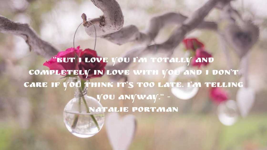 Cute quotes Cute quotes
