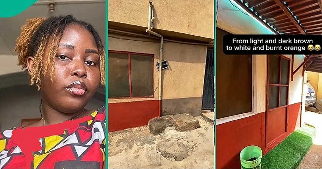 Tenant dragged for repainting her apartment's exterior with different colour Tenant dragged for repainting her apartment's exterior with different colour