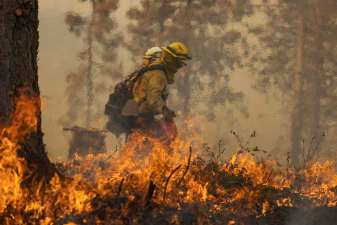 The Oak Fire in central California is the state's most destructive blaze so far this fire season The Oak Fire in central California is the state's most destructive blaze so far this fire season