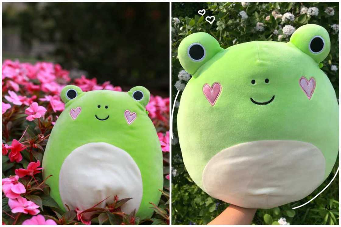 Rare squishmallows