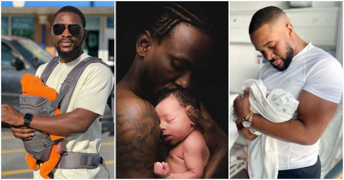 Male celebs Male celebs