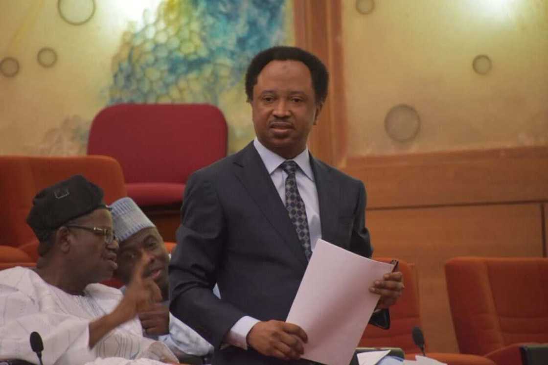 Shehu Sani reacts as US imposes visa ban on Kogi, Bayelsa election riggers