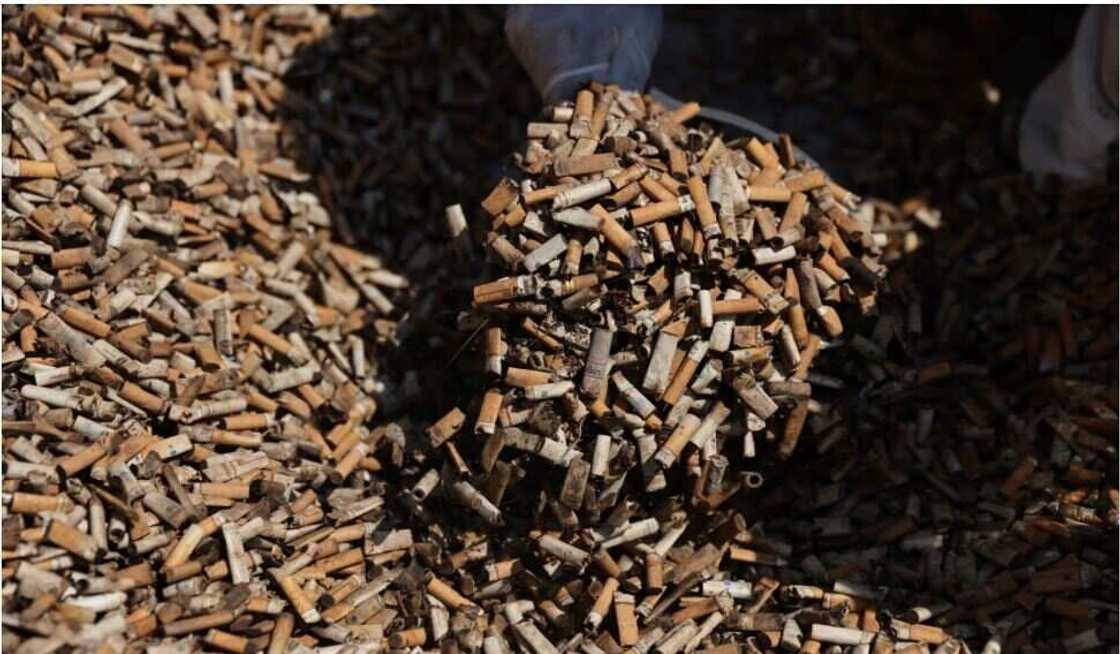 India Factory/Cigarette Stubs/Soft Toy India Factory/Cigarette Stubs/Soft Toy