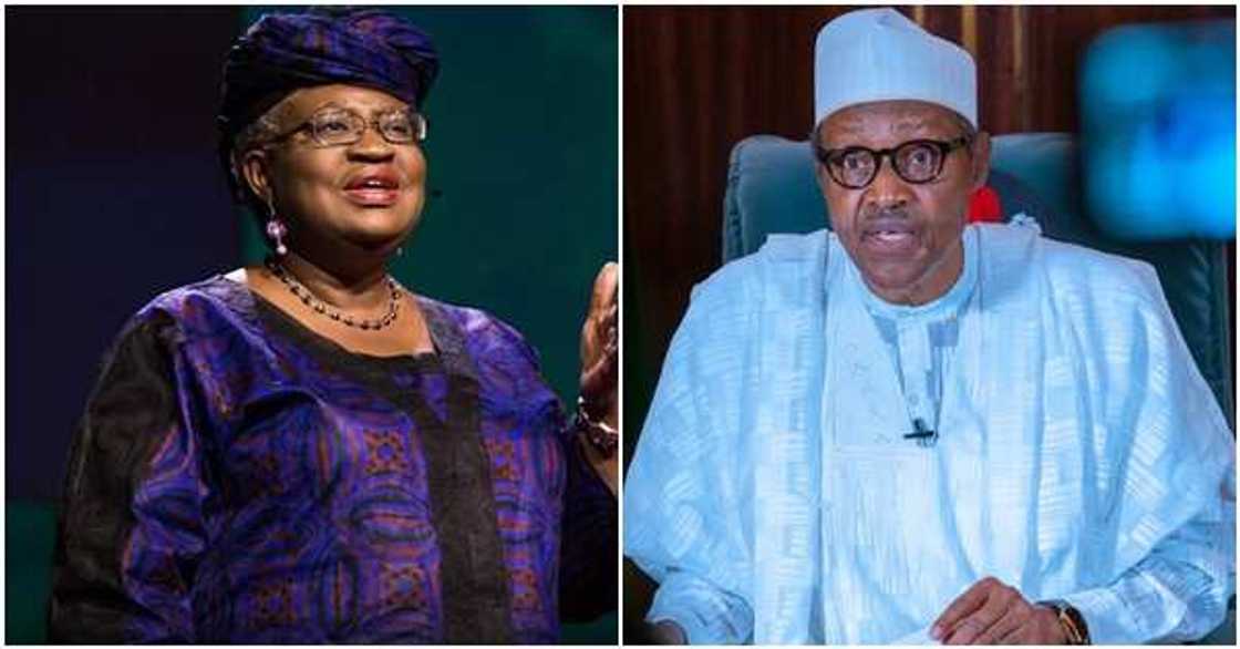 Breaking: President Buhari nominates Okonjo-Iweala for top position Breaking: President Buhari nominates Okonjo-Iweala for top position