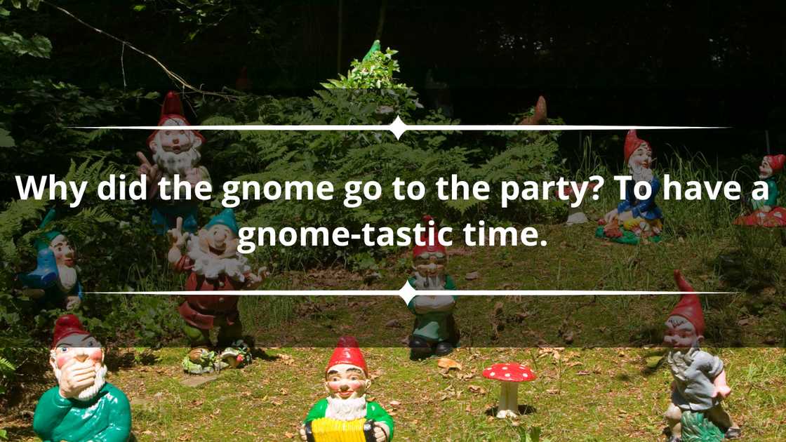 Funny gnome puns Funny gnome puns