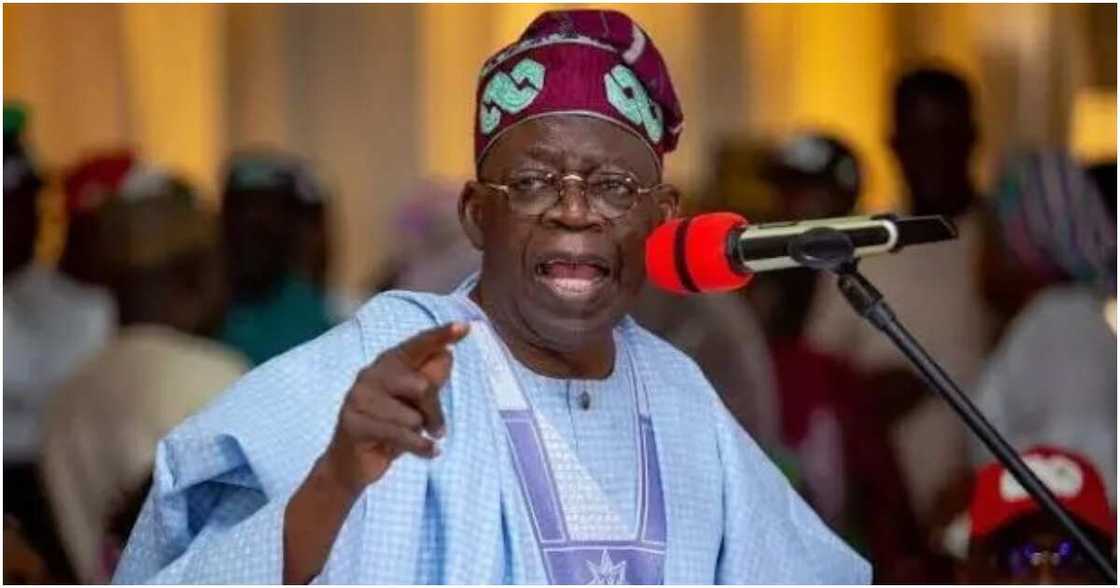 Bola Tinubu, Naira, fuel scarcity, protests, APC presidential candidate, 2023 election, CBN Bola Tinubu, Naira, fuel scarcity, protests, APC presidential candidate, 2023 election, CBN