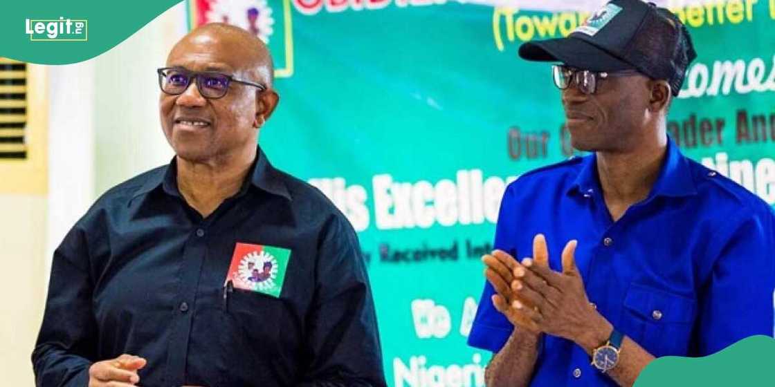 Rumbles in the Labour Party as Peter Obi and others miss the party's national convention.