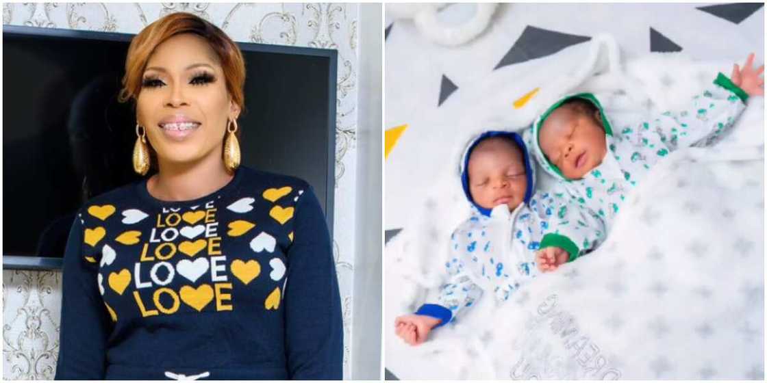 Bimbo Success Bimbo Success