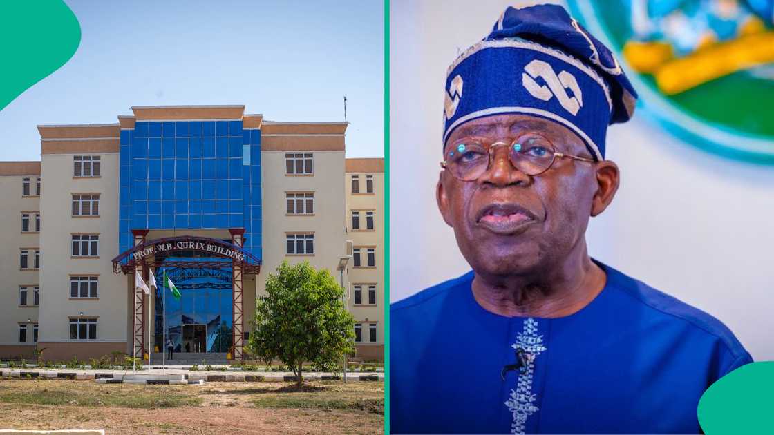 Full List of Federal Universities Tinubu Approved in 2025