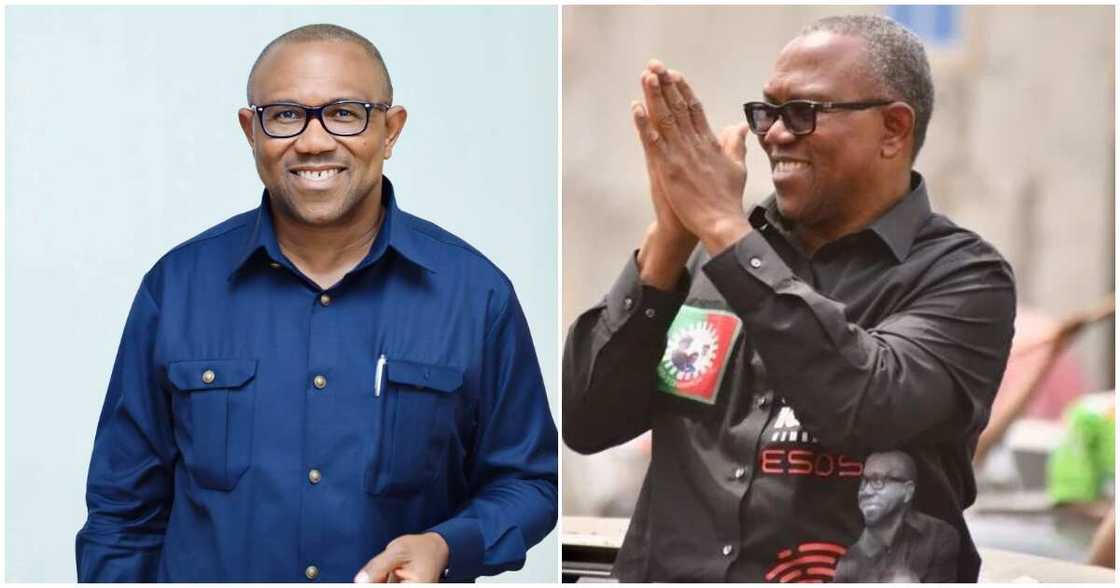 An bayyana gaskiyar cewa kotu ta ayyana Peter Obi a matsayin wanda ya lashe zabe