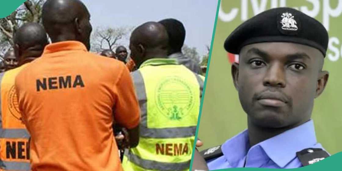 Yan sanda da hukumar NEMA sun tsaurara tsaro game da masu fasa rumbun a abinci Yan sanda da hukumar NEMA sun tsaurara tsaro game da masu fasa rumbun a abinci