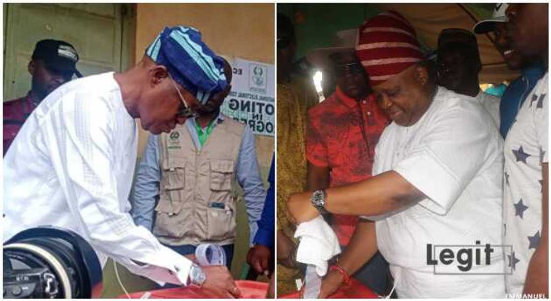 Adeleke wins polling unit