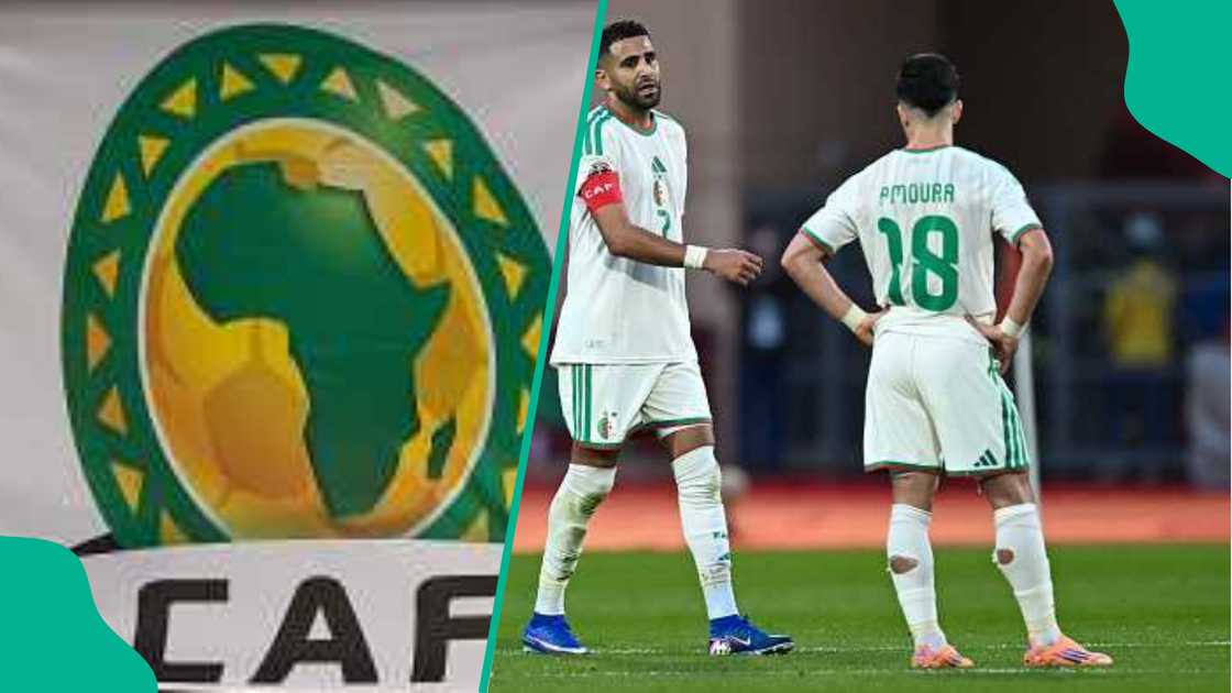 Algeria, CAF, AFCON 2025, Nigeria Algeria, CAF, AFCON 2025, Nigeria