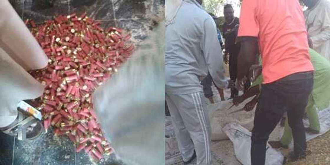 Yadda jami’anmu suka kama wata babbar mota dankare da bindigogi 73 da harsasai 891 a Kebbi - Kwastam Yadda jami’anmu suka kama wata babbar mota dankare da bindigogi 73 da harsasai 891 a Kebbi - Kwastam