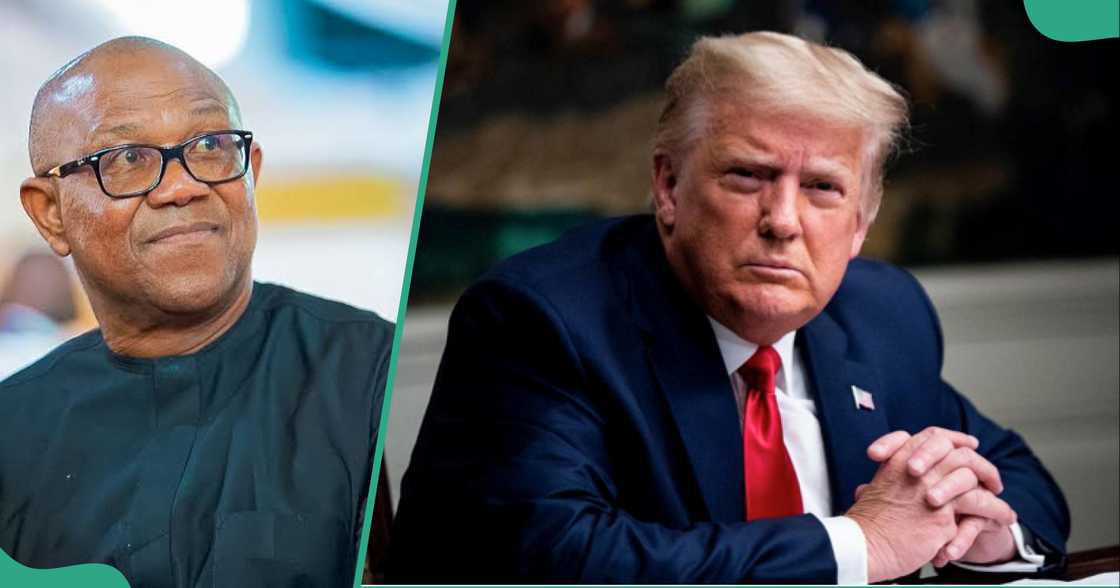 Tinubu's aide dragged as he likens Peter Obi to Trump Tinubu's aide dragged as he likens Peter Obi to Trump