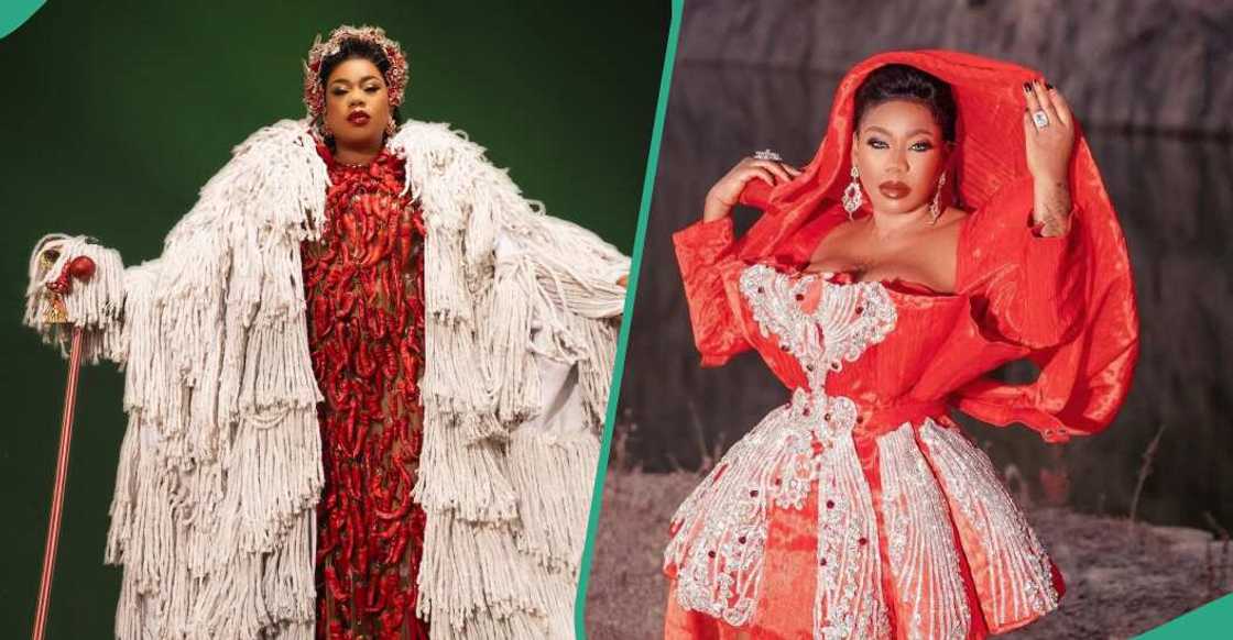 Toyin Lawani posts rice-themed dress