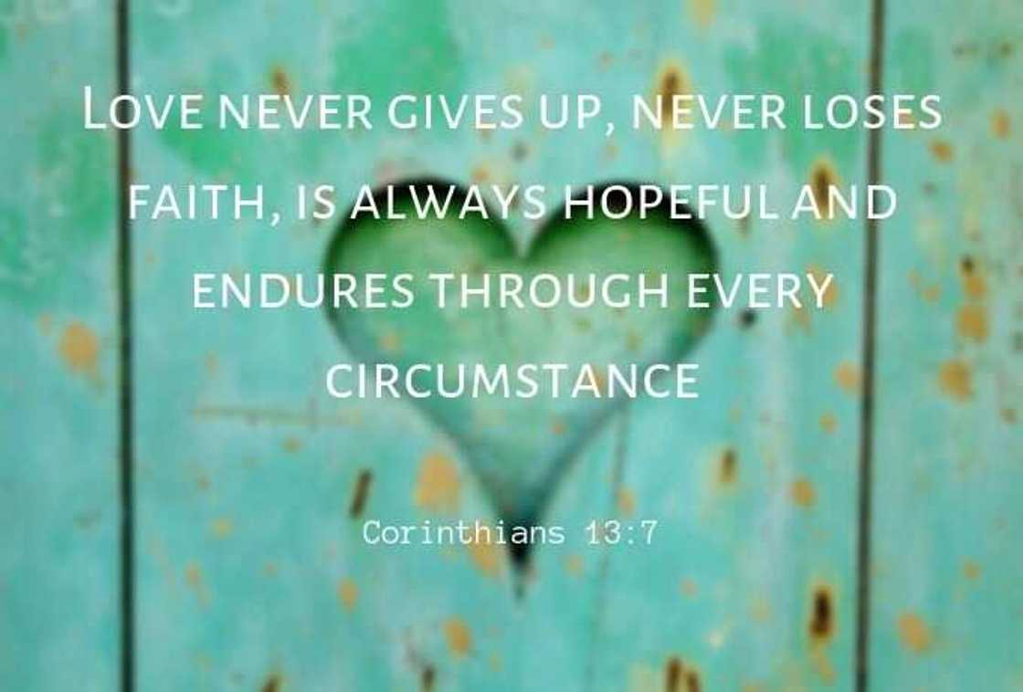 Never give up on love quotes Never give up on love quotes