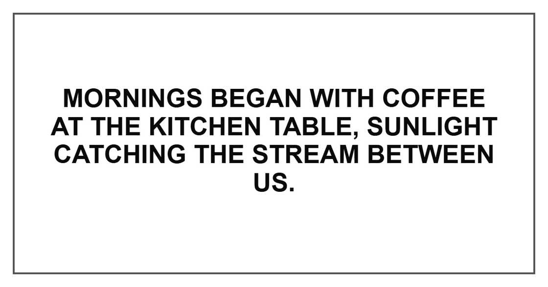 Mornings began with coffee at the kitchen table, sunlight catching the stream between us. Mornings began with coffee at the kitchen table, sunlight catching the stream between us.