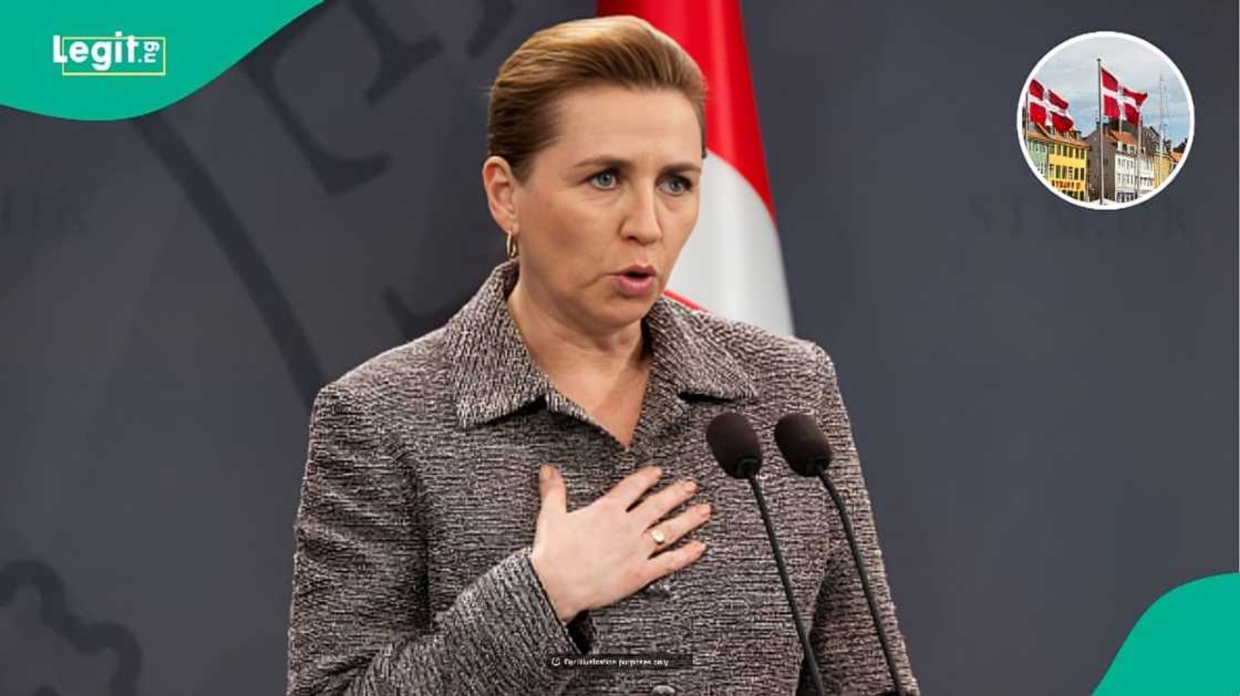 Denmark lists 5 benefits foreigners holding Green Cards cannot claim Denmark lists 5 benefits foreigners holding Green Cards cannot claim