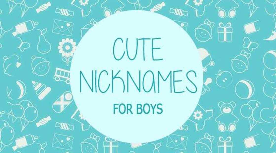 Funny names to call your boyfriend Funny names to call your boyfriend