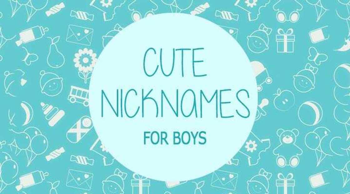 Funny names to call your boyfriend