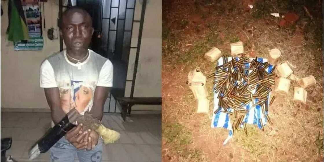 Hotunan mutumin da aka kama da harsashin bindiga ƙirar AK-47 guda 340 a cikin garrin rogo Hotunan mutumin da aka kama da harsashin bindiga ƙirar AK-47 guda 340 a cikin garrin rogo