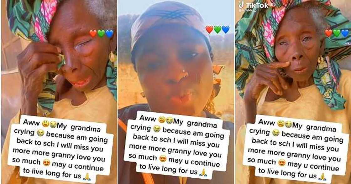 Grandma breaks down in tears, granddaughter leaves for school, emotional video Grandma breaks down in tears, granddaughter leaves for school, emotional video