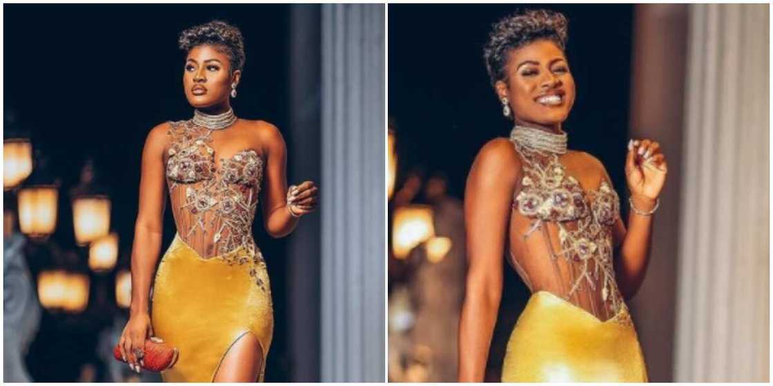 Photos Alex Unusual at AY's 50th Birthday