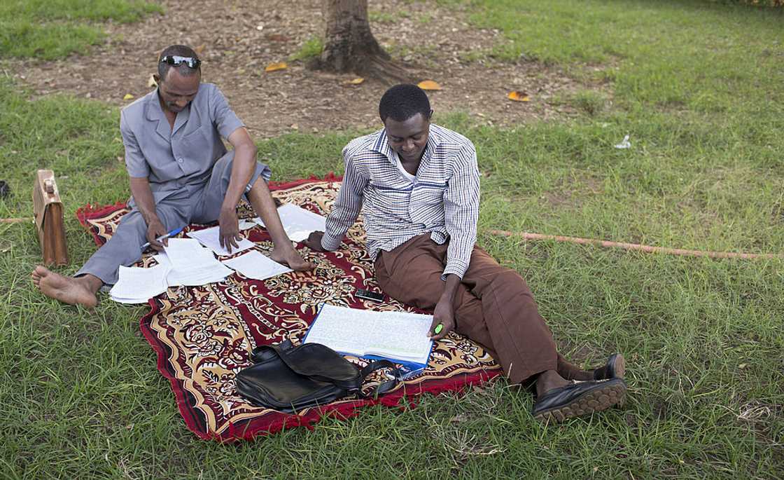 Students studying in a park