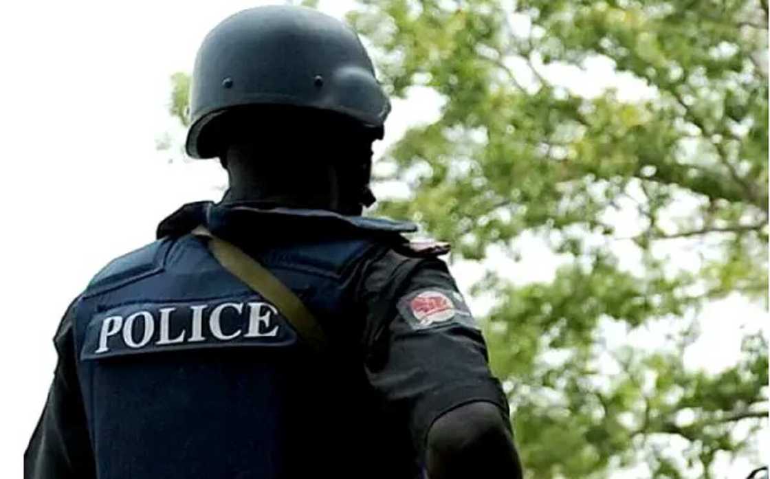 Yadda 'yan sandan Zamfara suka kama 'yan bindiga 69 da masu hada baki da su Yadda 'yan sandan Zamfara suka kama 'yan bindiga 69 da masu hada baki da su