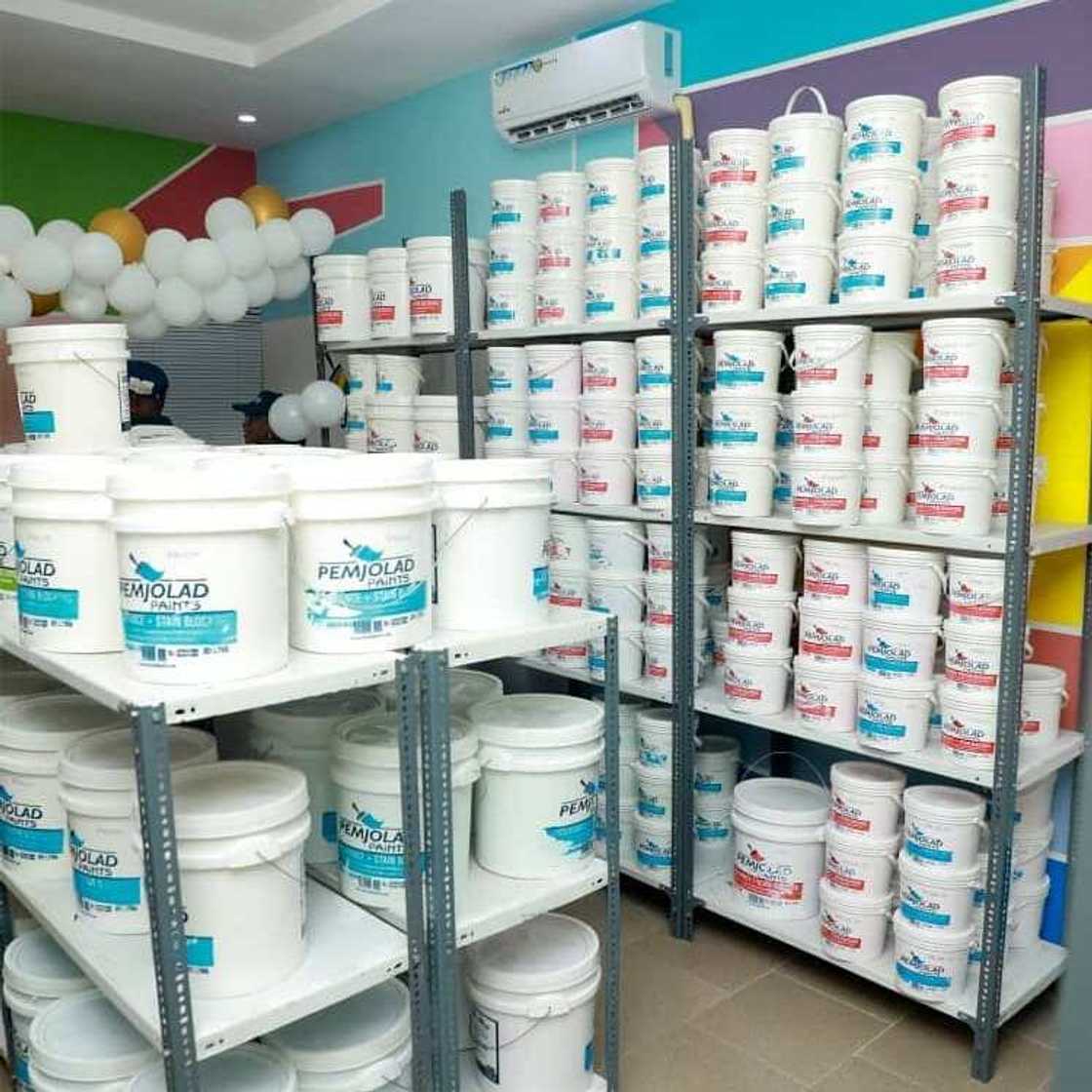 Pemjolad Paints: Changing the Painting Narratives in Nigeria Pemjolad Paints: Changing the Painting Narratives in Nigeria