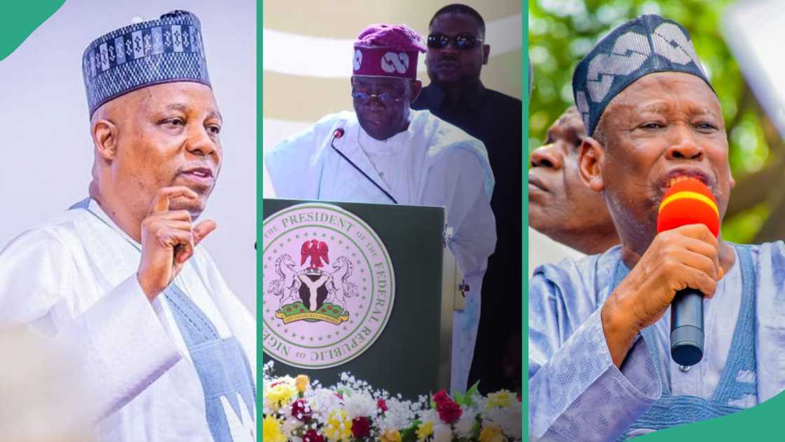 Ayodele ya yi magana kan barin Ganduje jam'iyyar APC da rigima tsakanin Tinubu, Shettima