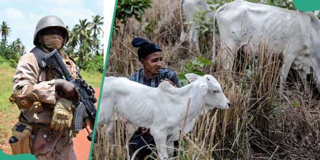 Fulani da makiyaya Fulani da makiyaya