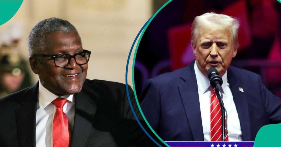 Aliko Dangote responds to Donald Trump's tariffs Aliko Dangote responds to Donald Trump's tariffs