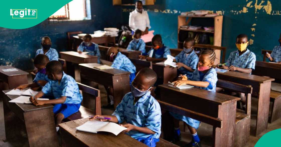 Taraba State backs Izesan to preserve endangered languages Taraba State backs Izesan to preserve endangered languages