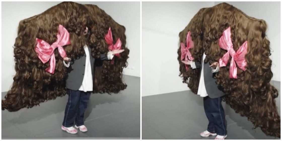 Widest wig Widest wig