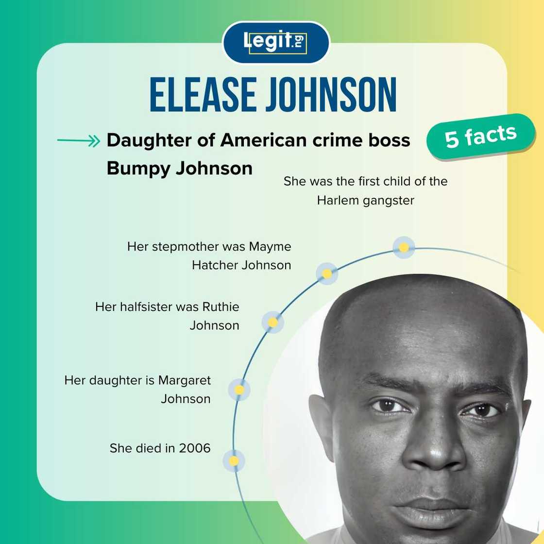 Bumpy Johnson's daughter: What happened to Elease Johnson? - Legit.ng