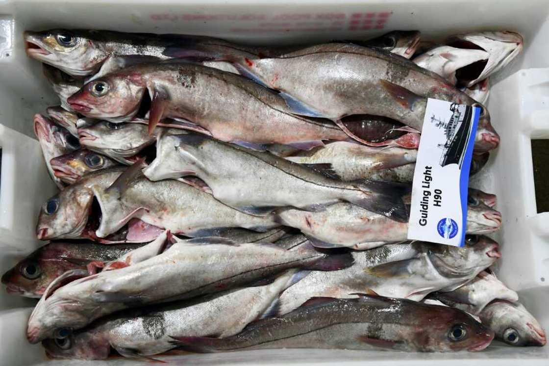 The industry has faced a wave of complications and added financial costs The industry has faced a wave of complications and added financial costs