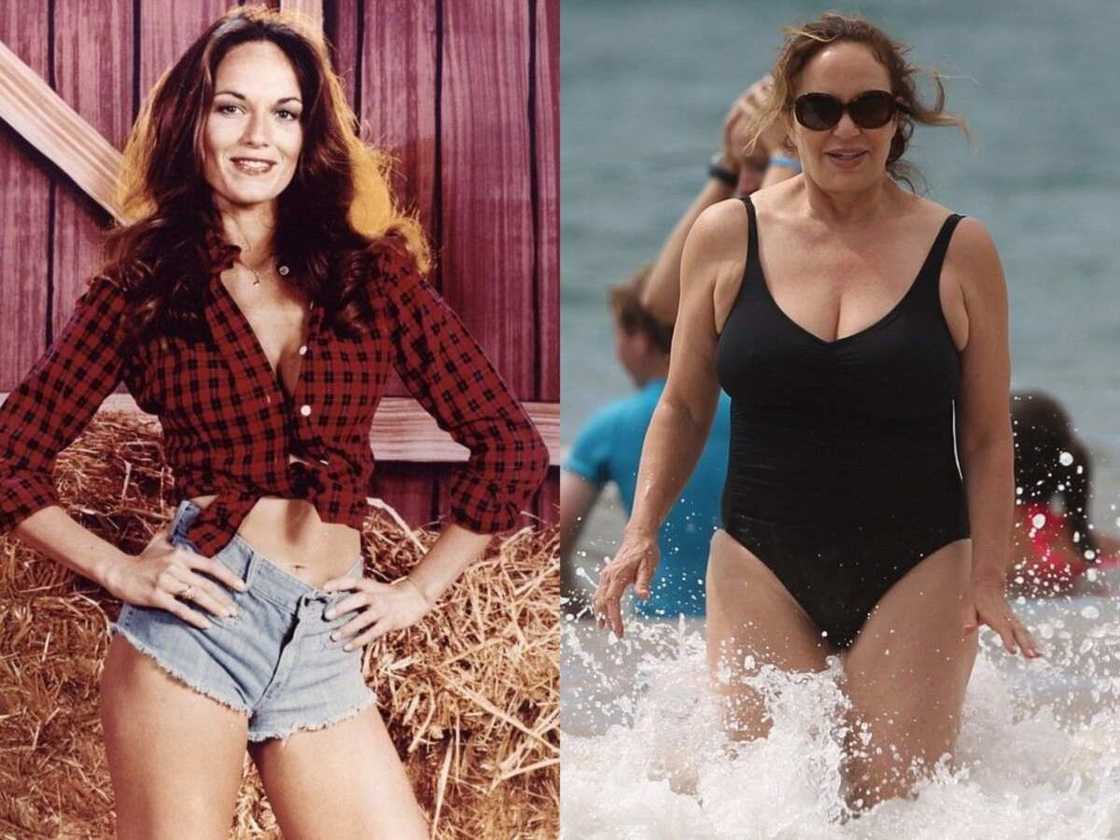 Catherine Bach then and now Catherine Bach then and now