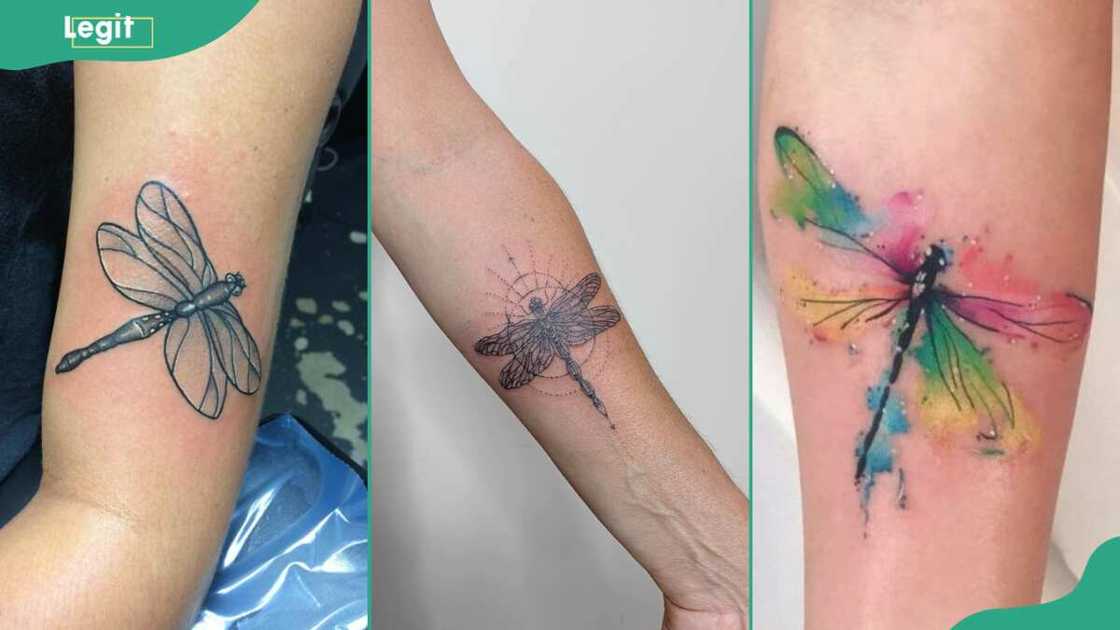 Elegant dragonfly tattoos