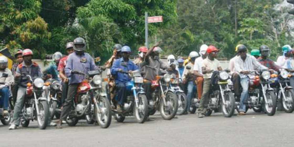 Gwamnatin Kano ta haramta goyo a babur, ta bayyana dalili Gwamnatin Kano ta haramta goyo a babur, ta bayyana dalili