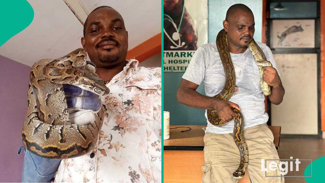 Snake expert identifies 4 signs to know if a snake is in your house or room