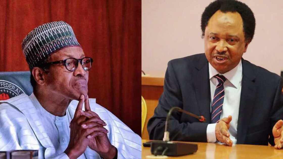 Shehu Sani Ya Caccaki Kiran da Buhari Ya Yi Na Gayyato Amurka Zuwa Afrika